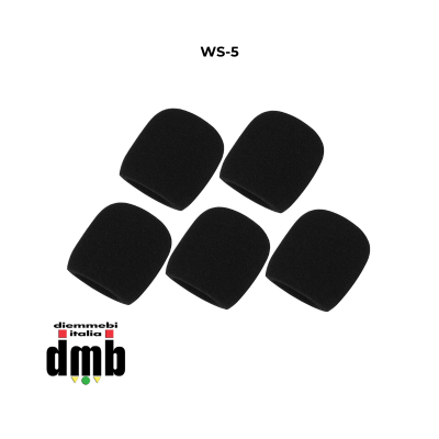 AV LEADER - WS-5  ANTIPOP DI SPUGNA