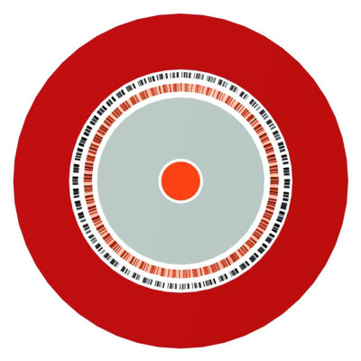 PROEL - HPC805 - Cavo video RG59 75 Ohm a doppia schermatura(100 metri)