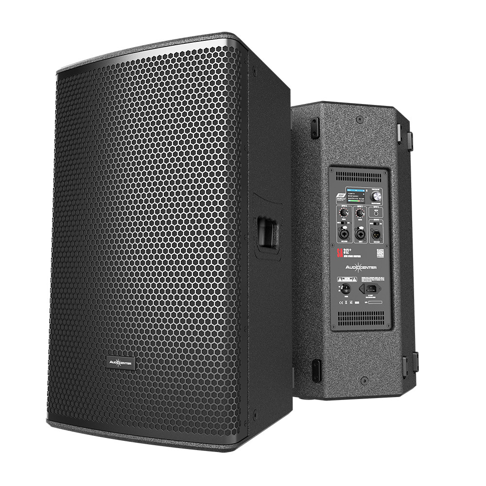 Audiocenter SA310+ | Diffusore Attivo in Legno 10" 1000W con DSP e Bluetooth