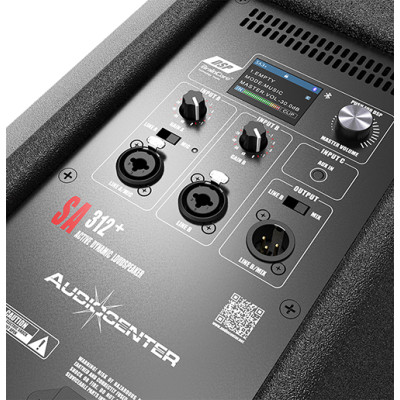 Audiocenter SA310+ | Diffusore Attivo in Legno 10" 1000W con DSP e Bluetooth
