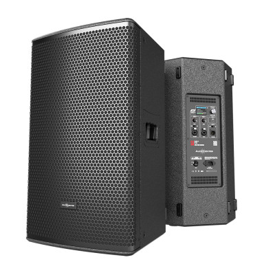 Audiocenter SA312+ | Diffusore Attivo in Legno 12" 1000W con DSP e Bluetooth