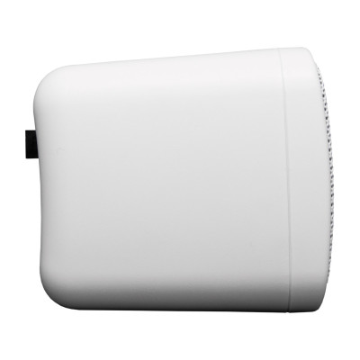 WORK - NEO 3 - Coppia di Altoparlanti Passivi per installazione